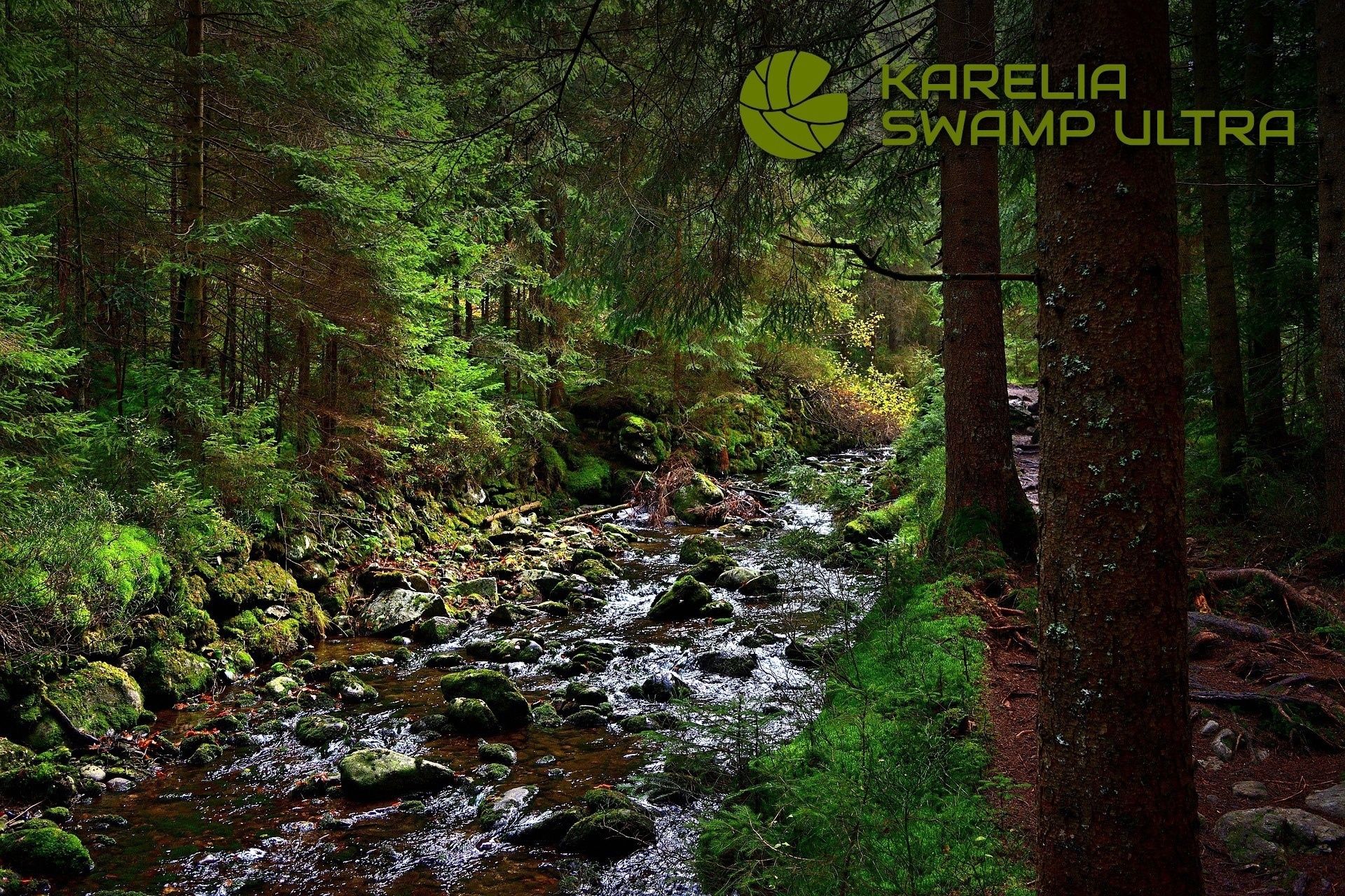 Необычный «болотный забег» состоится в Карелии в середине лета