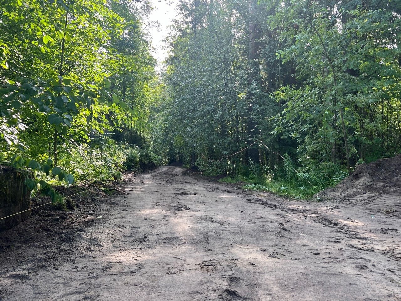 В Петрозаводске началось благоустройство Высотного сквера