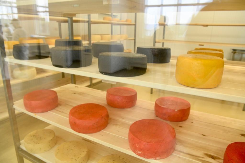 В Карелии открылась необычная молочная ферма со стеклянными стенами