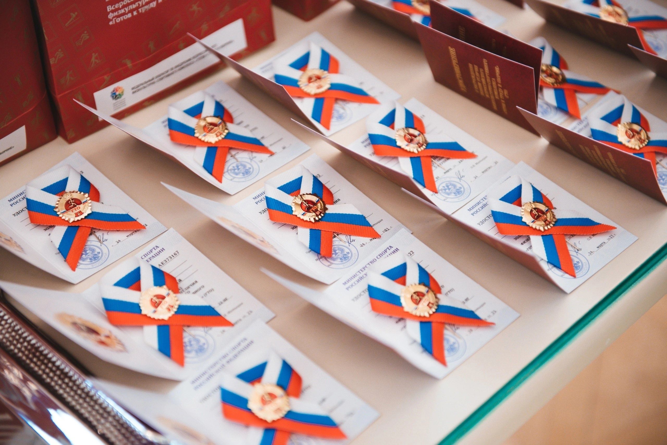 490 жителей Карелии получат значки отличия комплекса ГТО