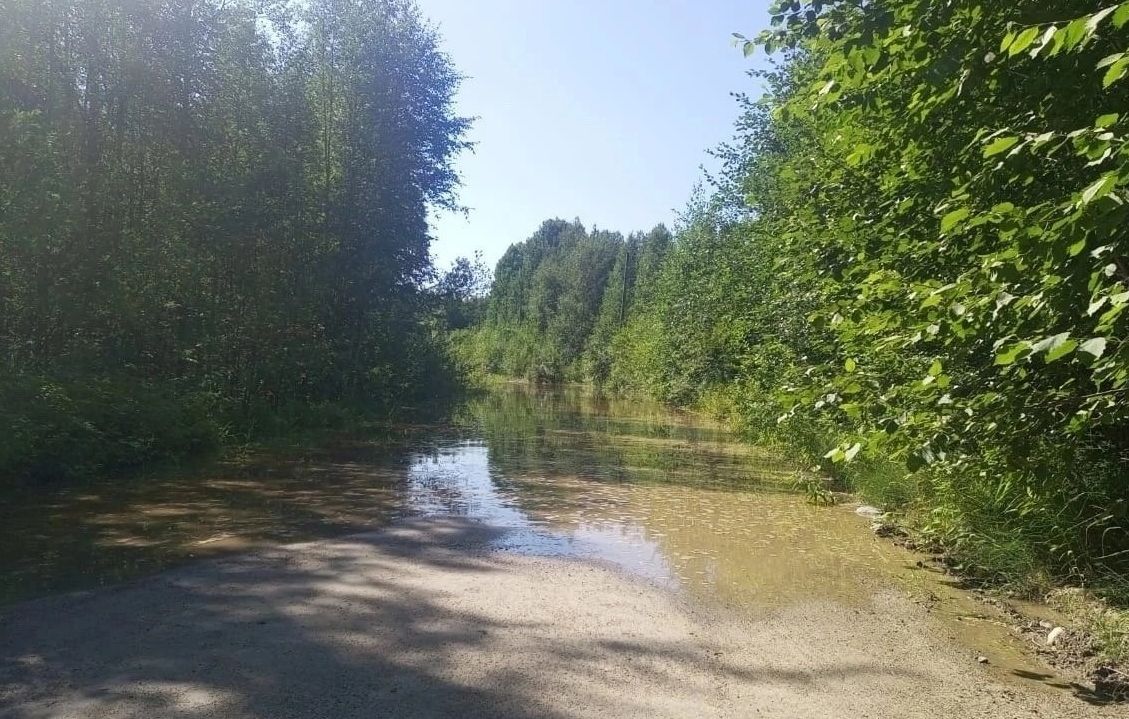 В Беломорском районе из-за прорыва дамбы затопило дорогу