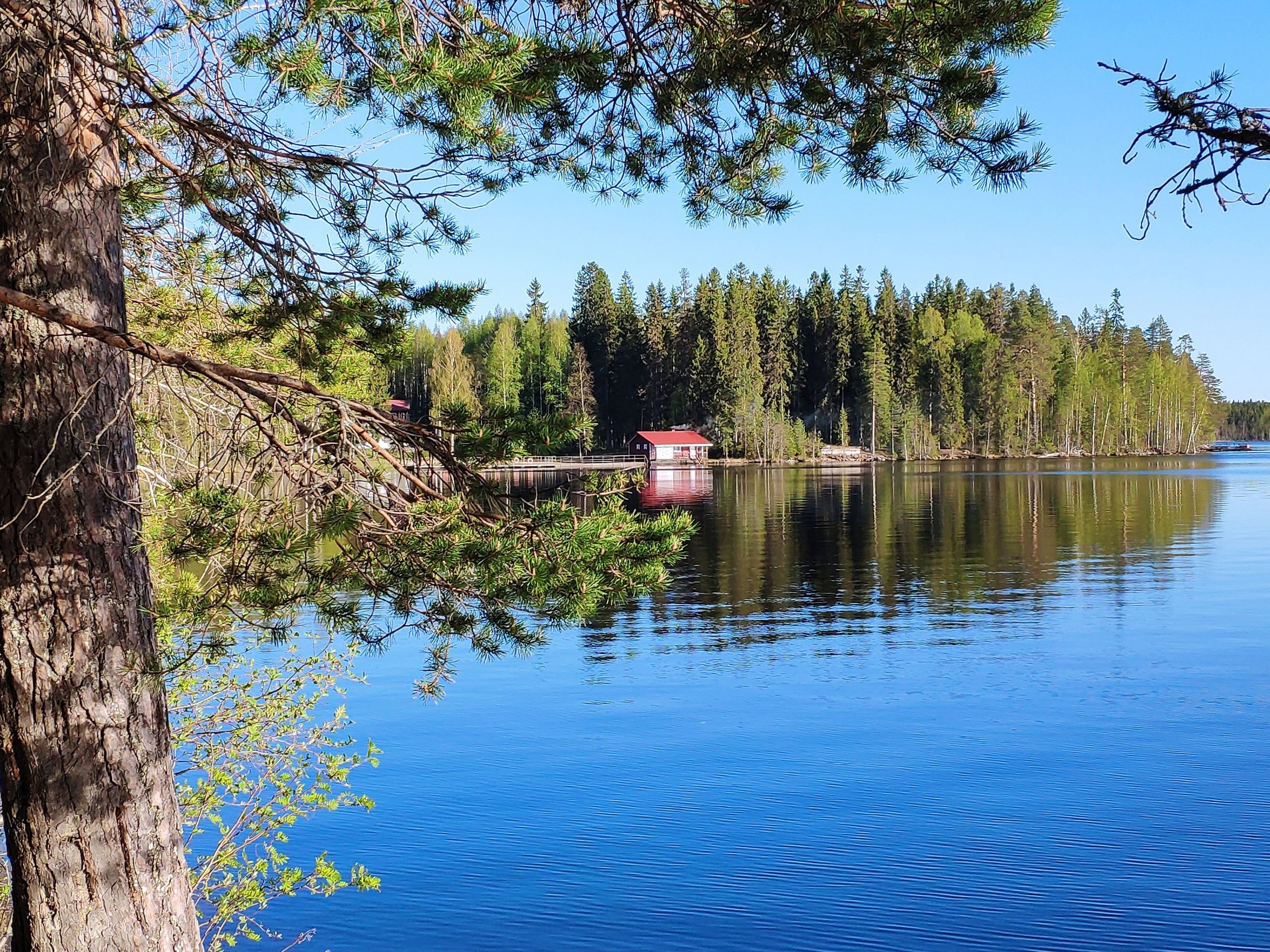 «Мы работаем на энергетиков!» Власти Карелии просят владельцев турбизнеса снизить цены, а те пугают закрытием