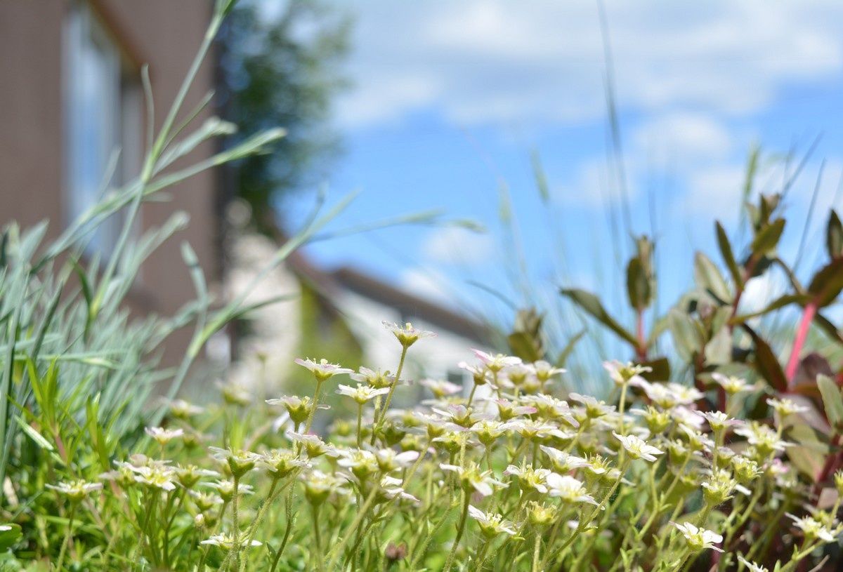 Преимущественно без осадков: прогноз погоды на 14 июня