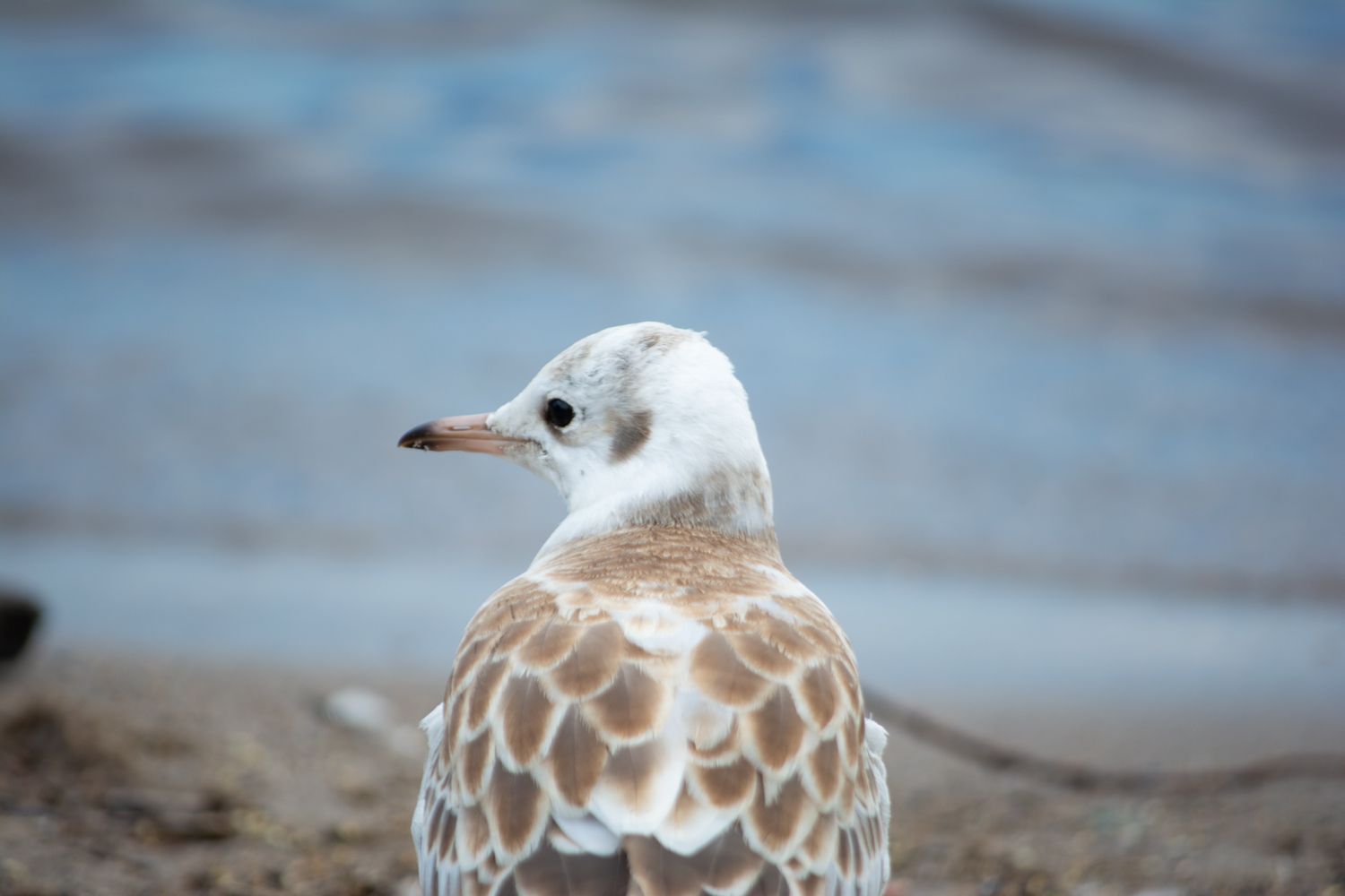 Небольшой дождь и без жары: прогноз погоды на 15 июля