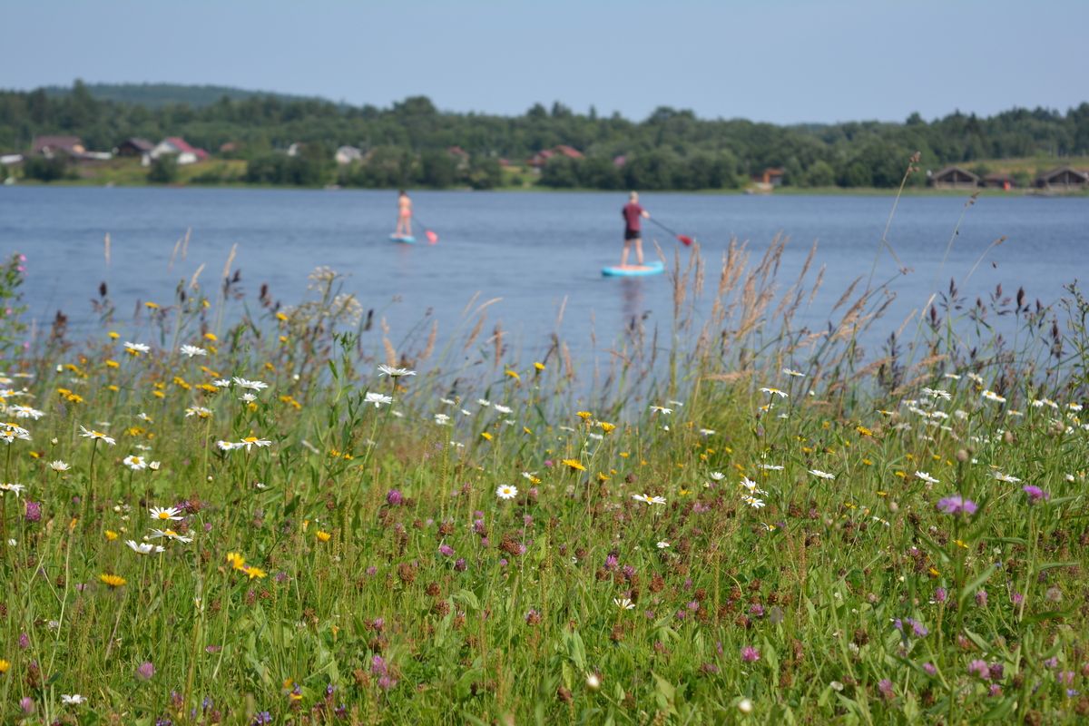 Жарко и без осадков. Прогноз погоды на 25 июля