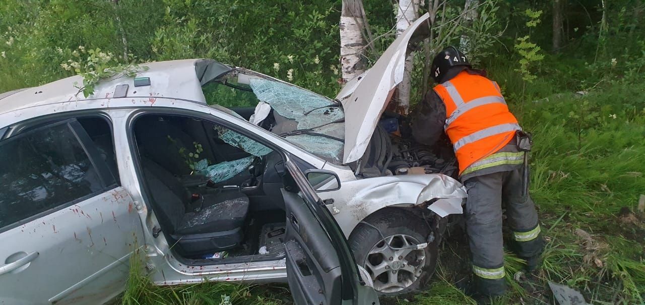 Автомобиль сбил лося на трассе в Карелии