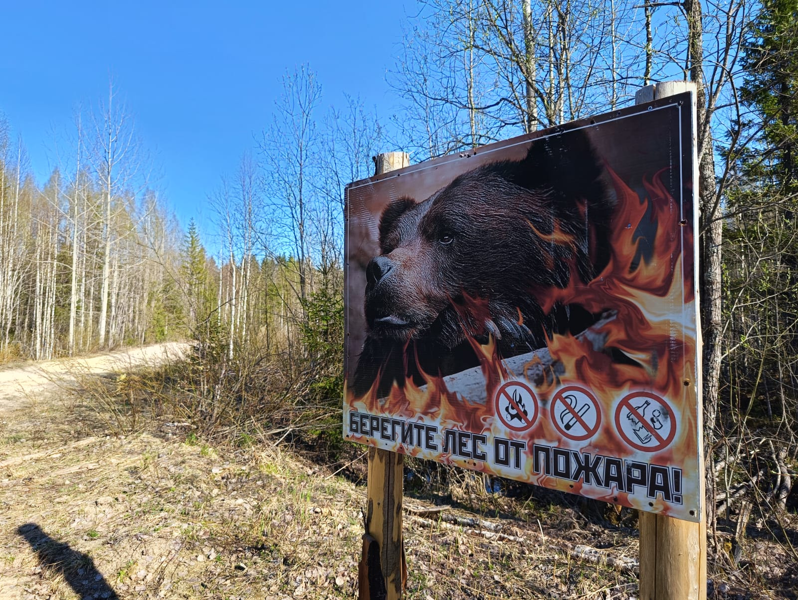 Карельские спасатели отправятся тушить пожары в Забайкалье