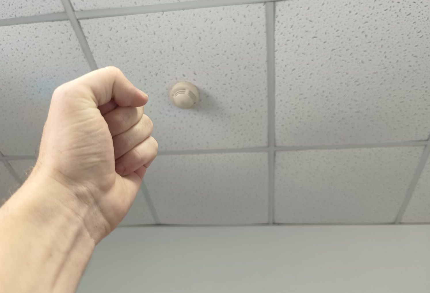 В правительстве Карелии ответили на вопрос, куда жаловаться на шумных соседей