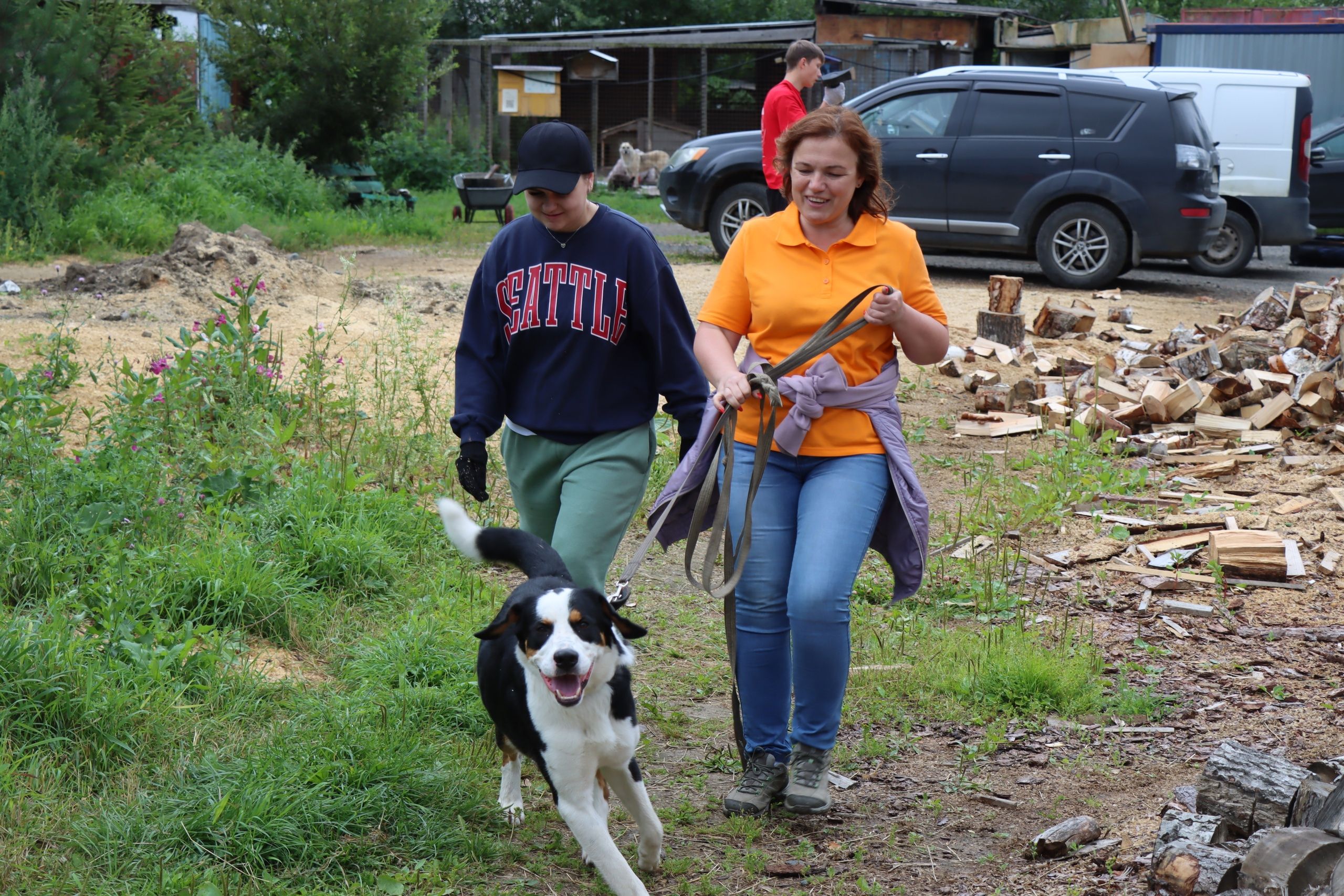 Депутаты Заксобрания Карелии и представители молодежных организаций провели субботники в приюте для животных