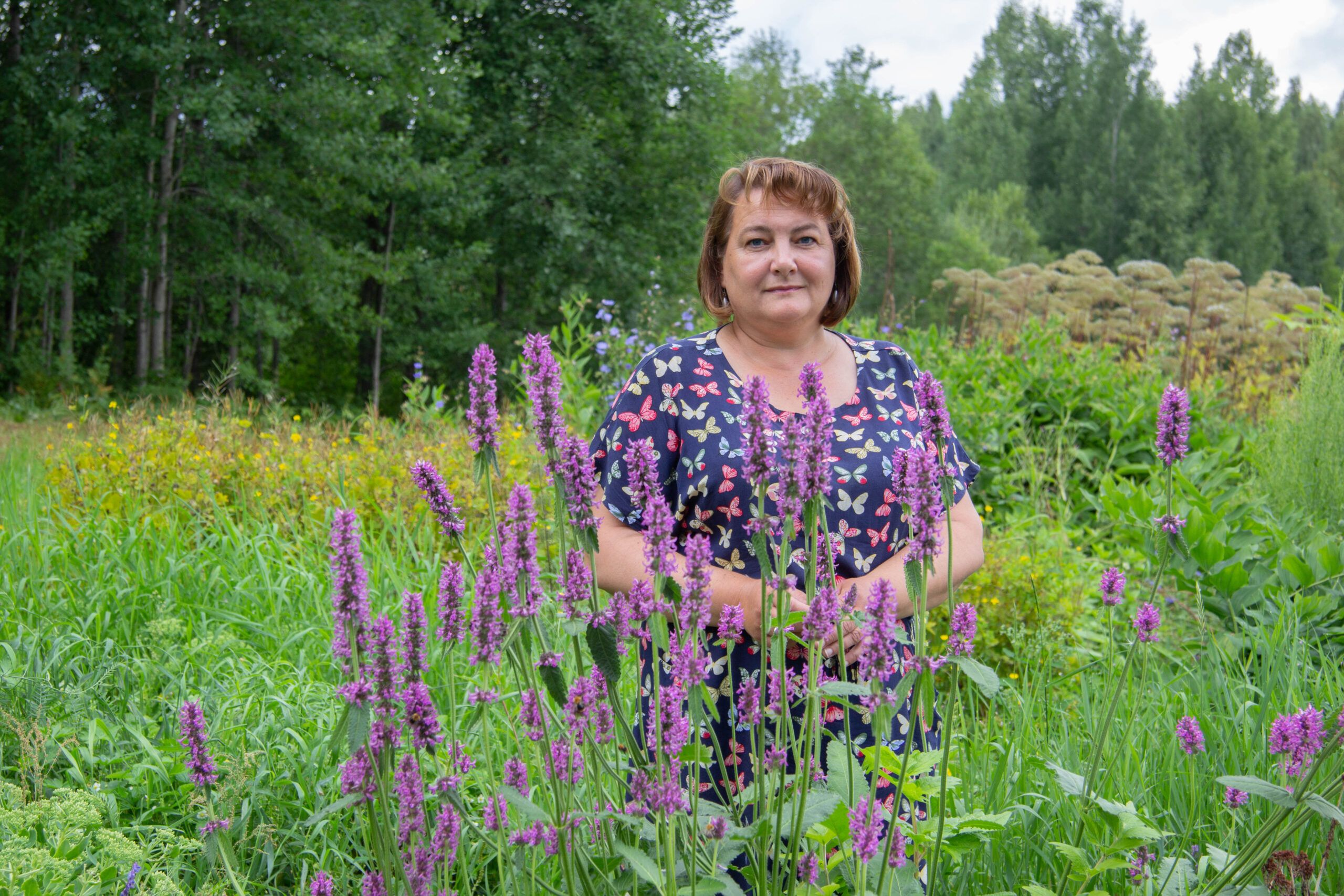 Карелия могла бы стать поставщиком лекарственных растений