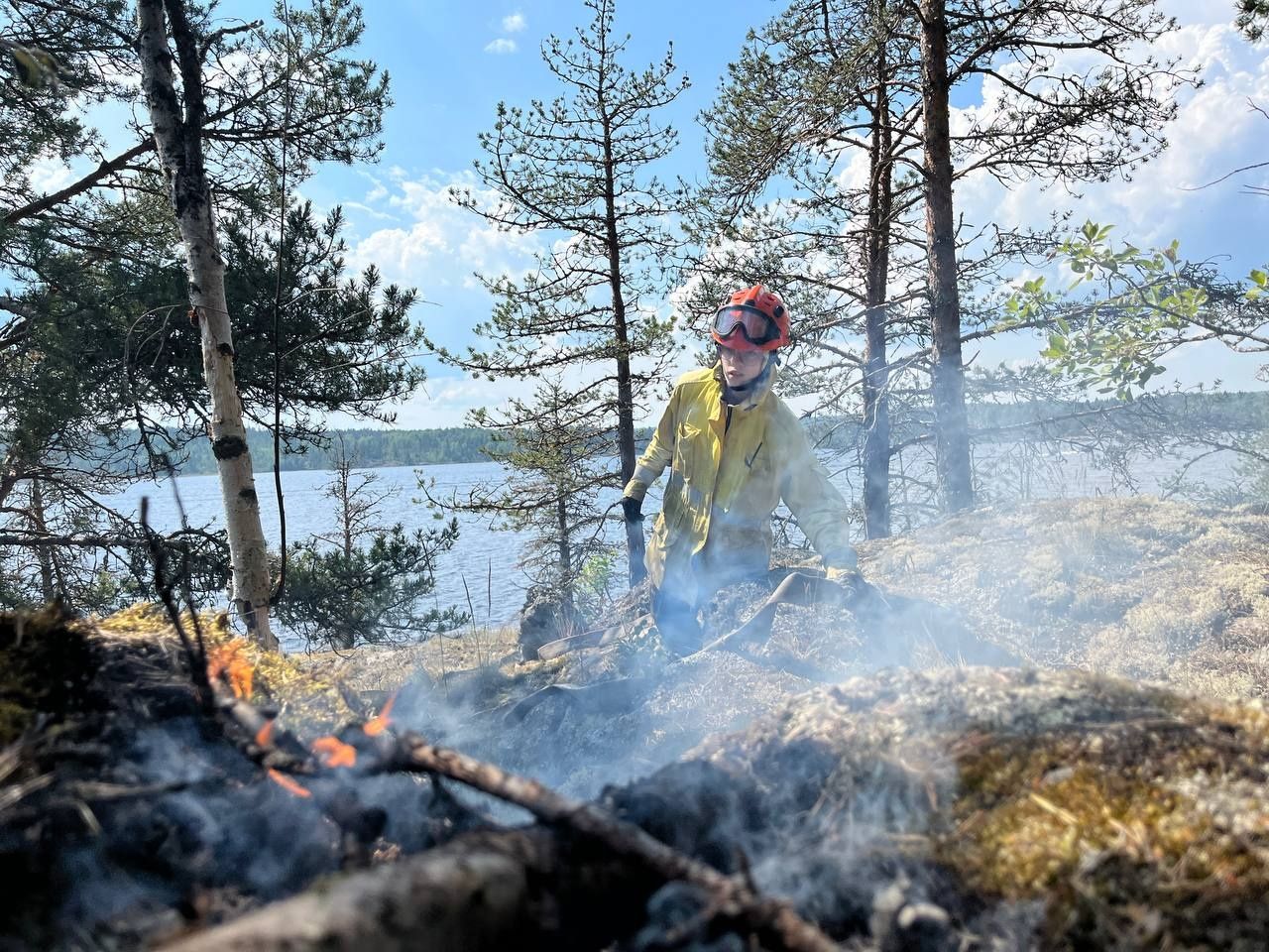 В Карелии на заповедном острове произошел пожар из-за брошенного окурка