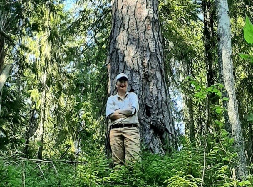 Редкую орхидею и самую старую в Карелии сосну обнаружили ученые в Водлозерском парке