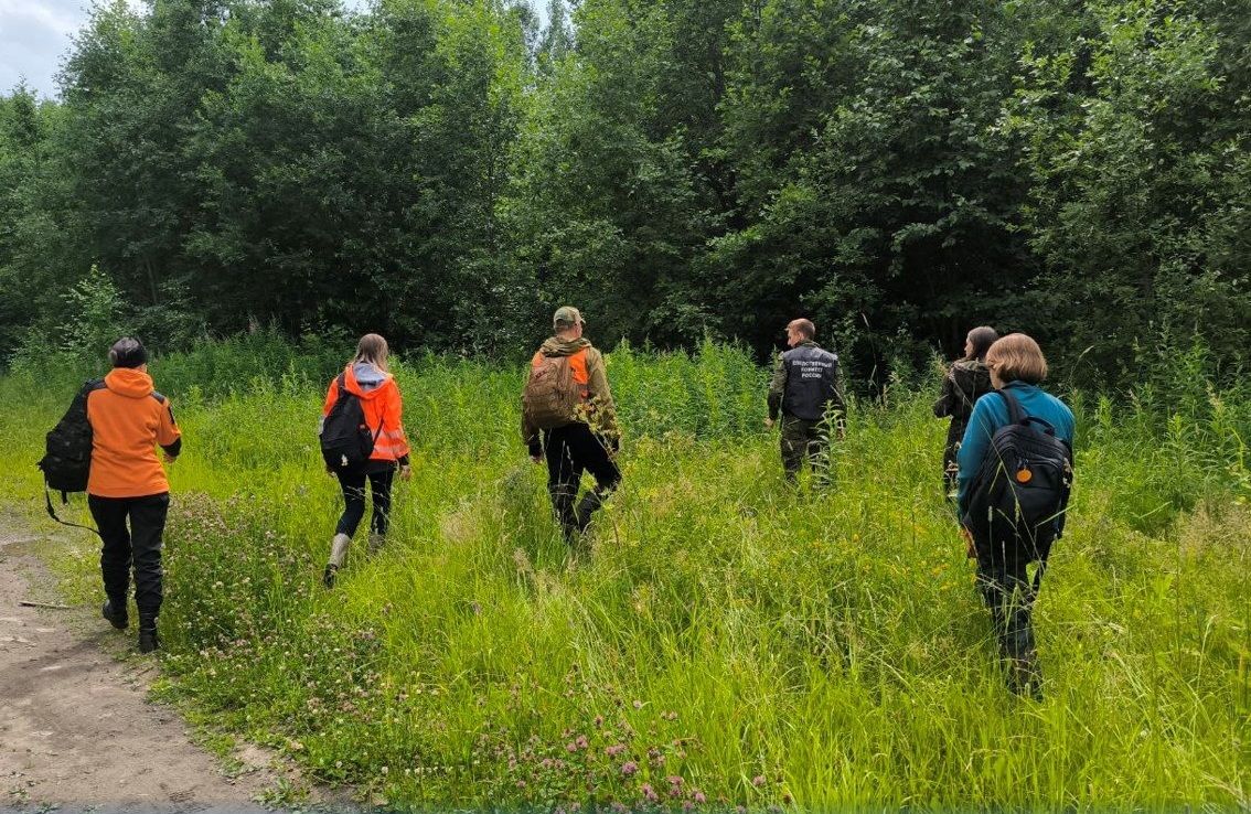 Подозреваемый в убийстве несовершеннолетней девушки в Петрозаводске рассказал, как он это сделал