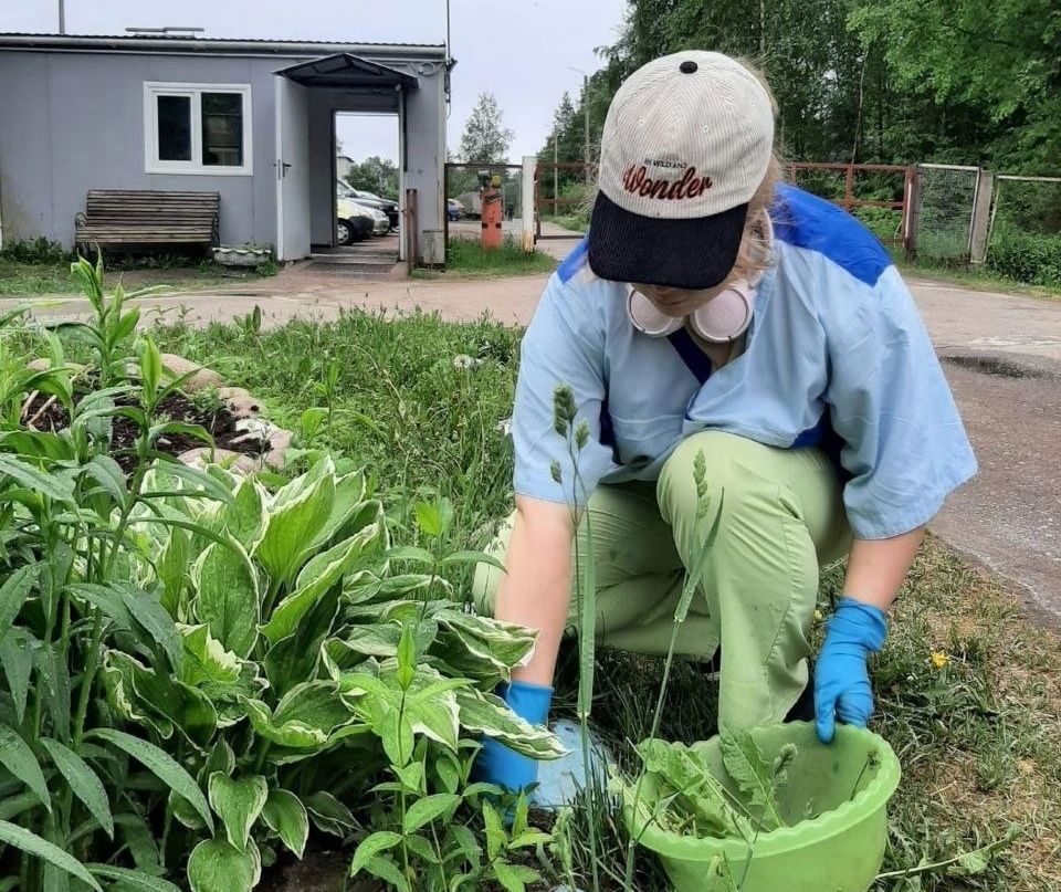 440 вакансий с зарплатой до 120 тысяч рублей заявили карельские компании на летний сезон
