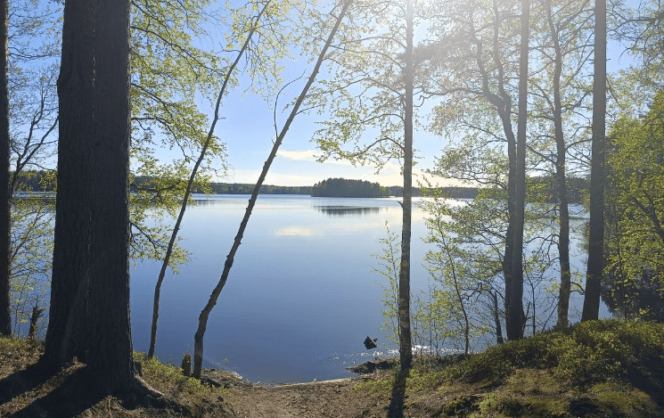 Карельские синоптики рассказали, какая погода ждет в выходные и на будущей неделе Карельские синоптики рассказали, какая погода ждет в выходные и на будущей неделе