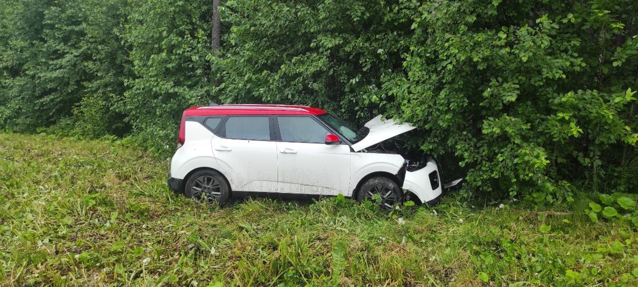 Годовалый ребенок травмирован в ДТП в Карелии