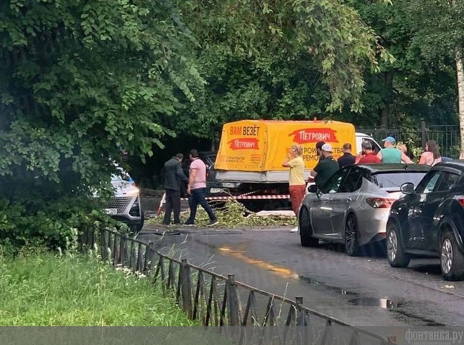 В Петербурге из-за упавшего дерева погибла молодая женщина В Петербурге из-за упавшего дерева погибла молодая женщина