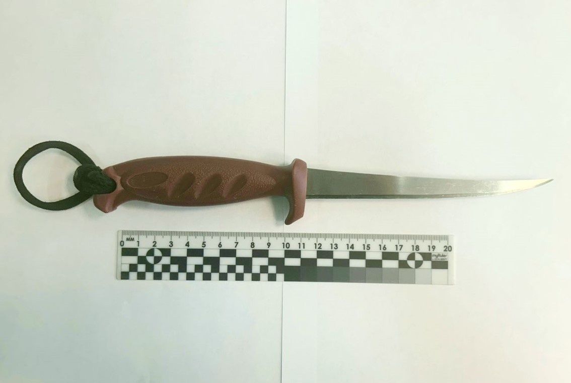 Житель Карелии не платил алименты на детей и угрожал ножом приставу