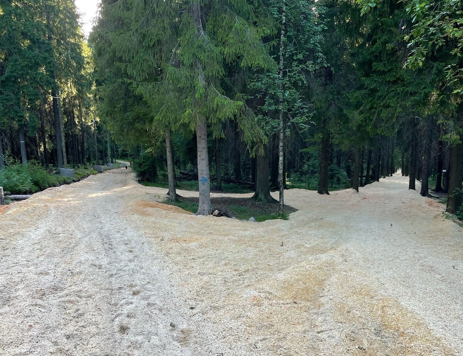 В Петрозаводске пешеходные дорожки в парке отсыпали пожароопасными отходами