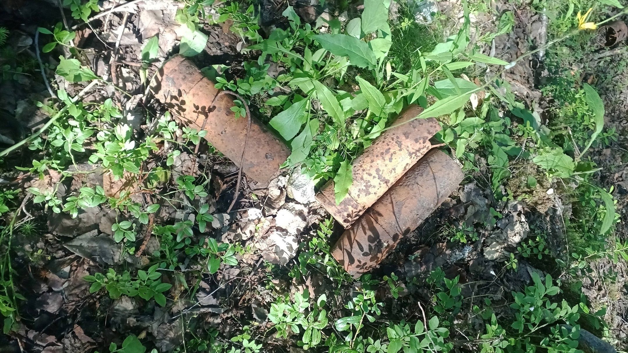 16 взрывоопасных предметов обезвредили в Карелии