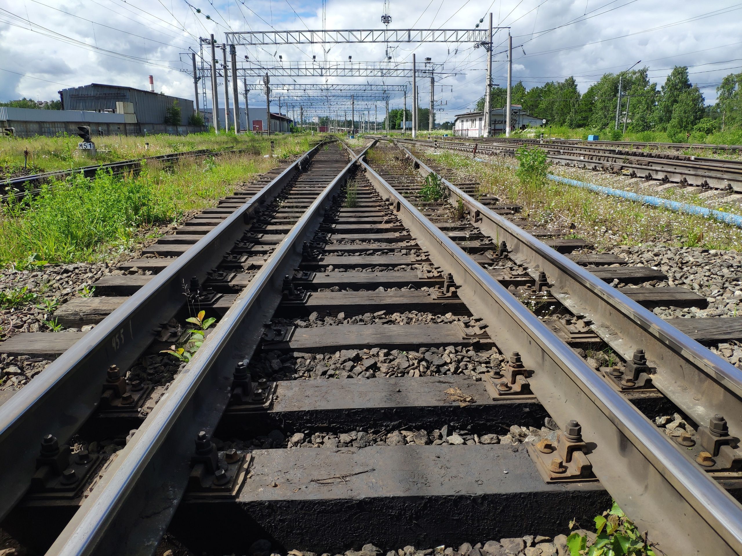 Новый поезд с 9 июля свяжет Москву, Петрозаводск и Петербург