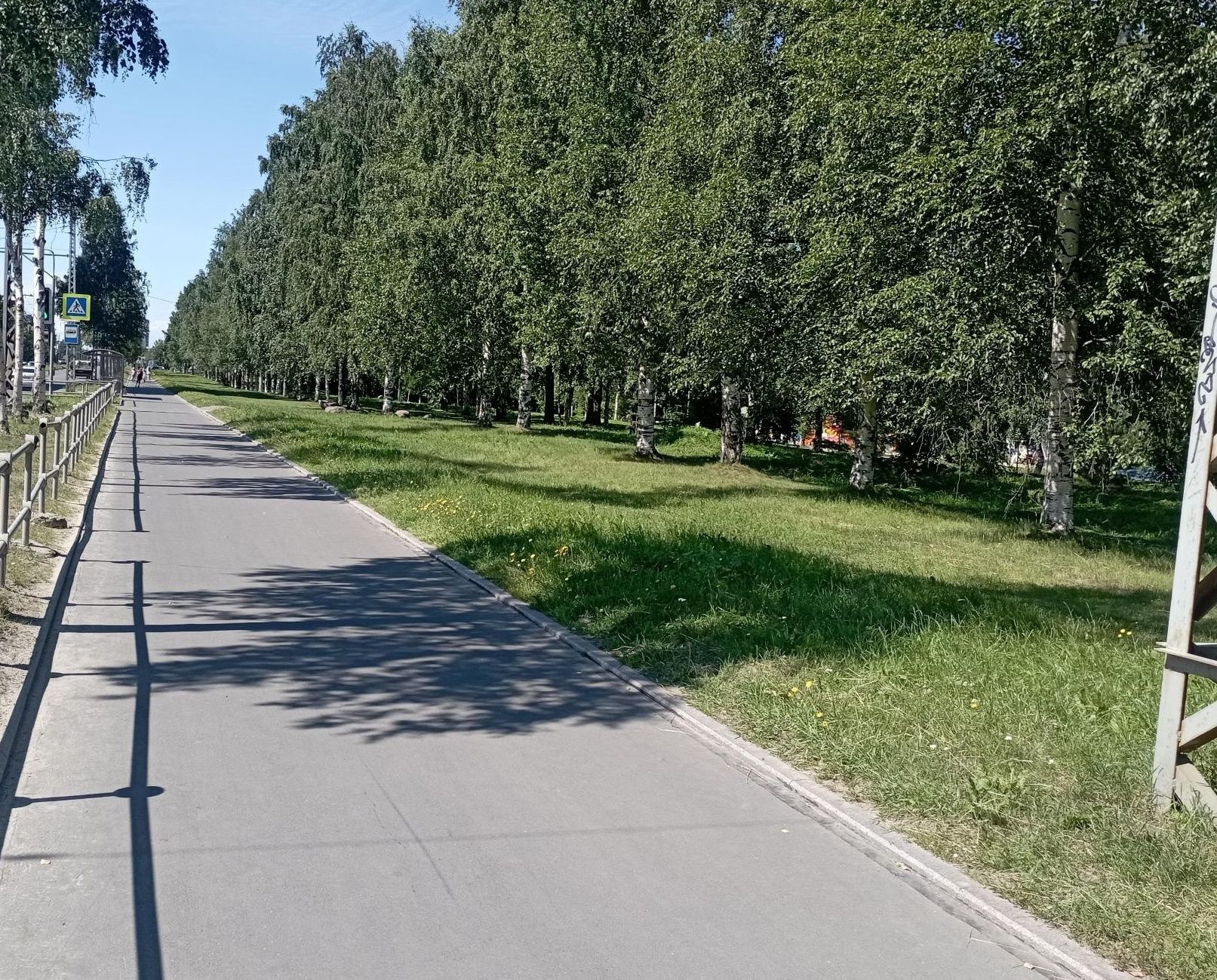 В Петрозаводске ищут самокатчика, который сбил шестилетнего ребенка