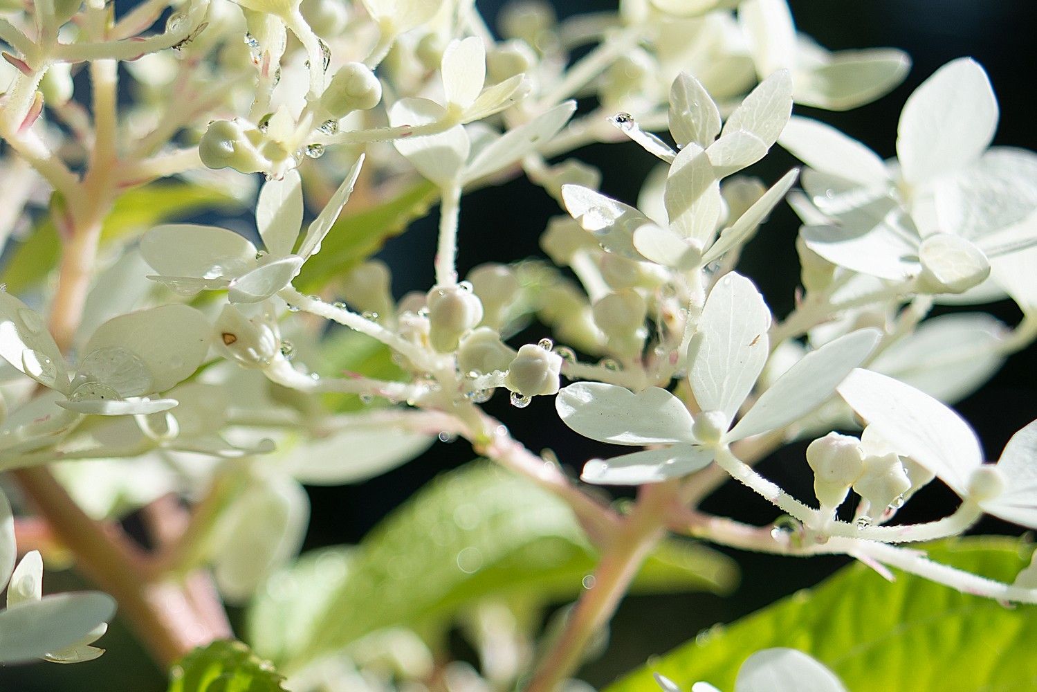 Кратковременные дожди и до +22°С. Прогноз погоды на 24 августа