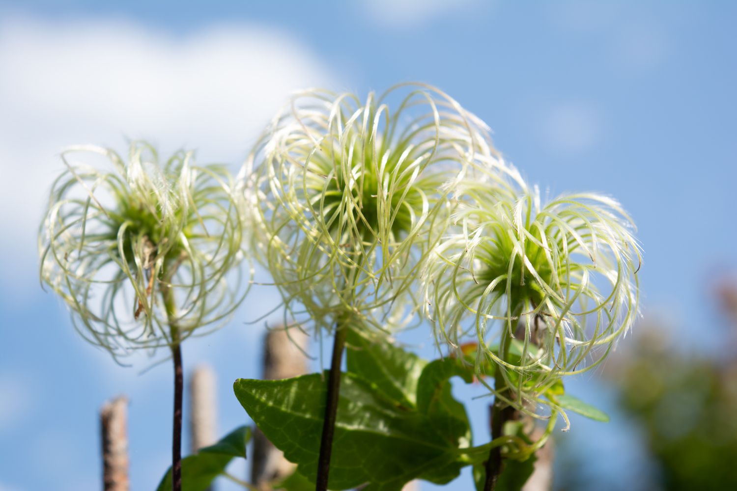 Лето, продолжай в том же духе. Прогноз погоды на 30 августа
