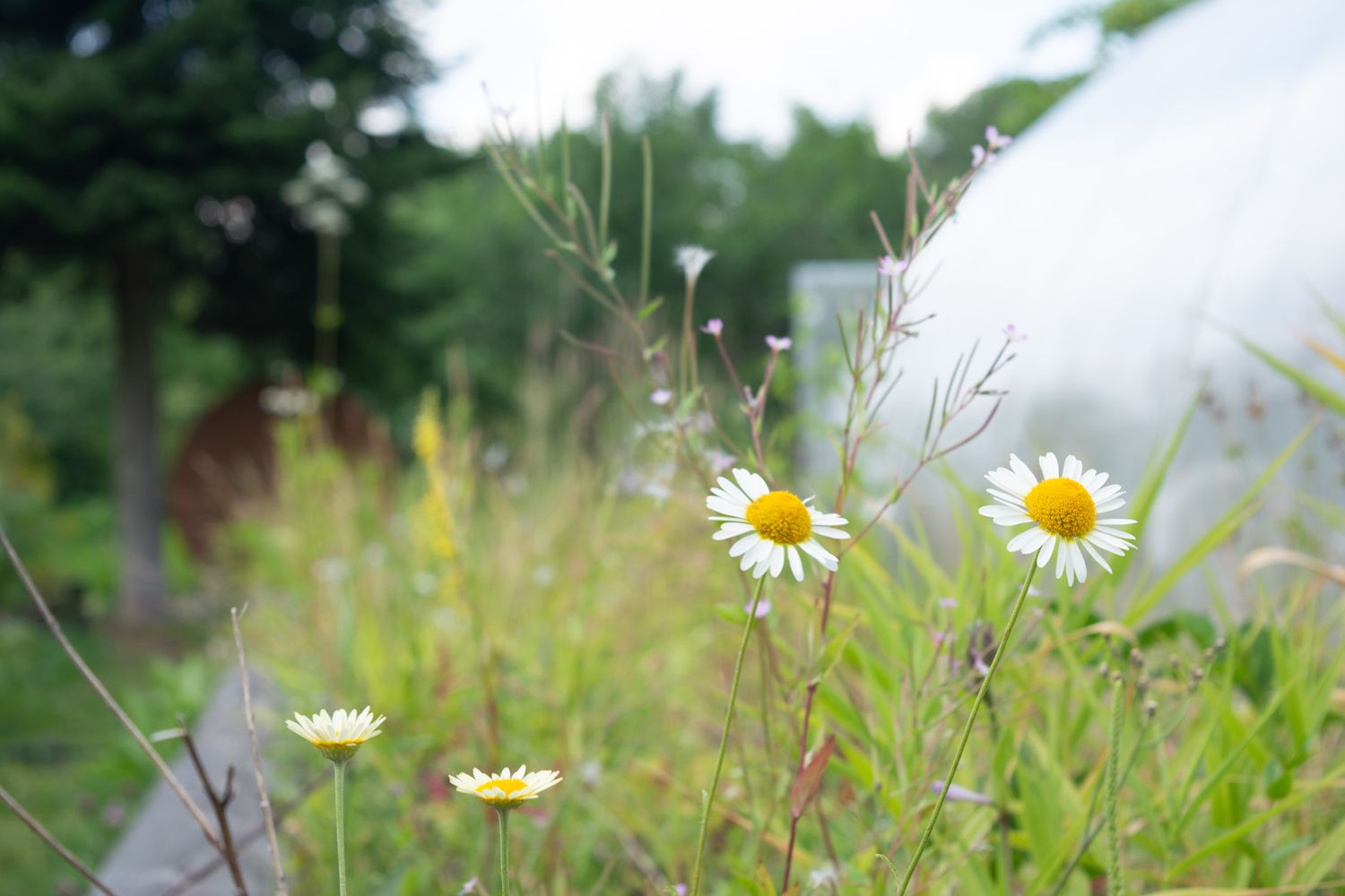 До +23°С и без существенных осадков. Прогноз погоды на 7 августа