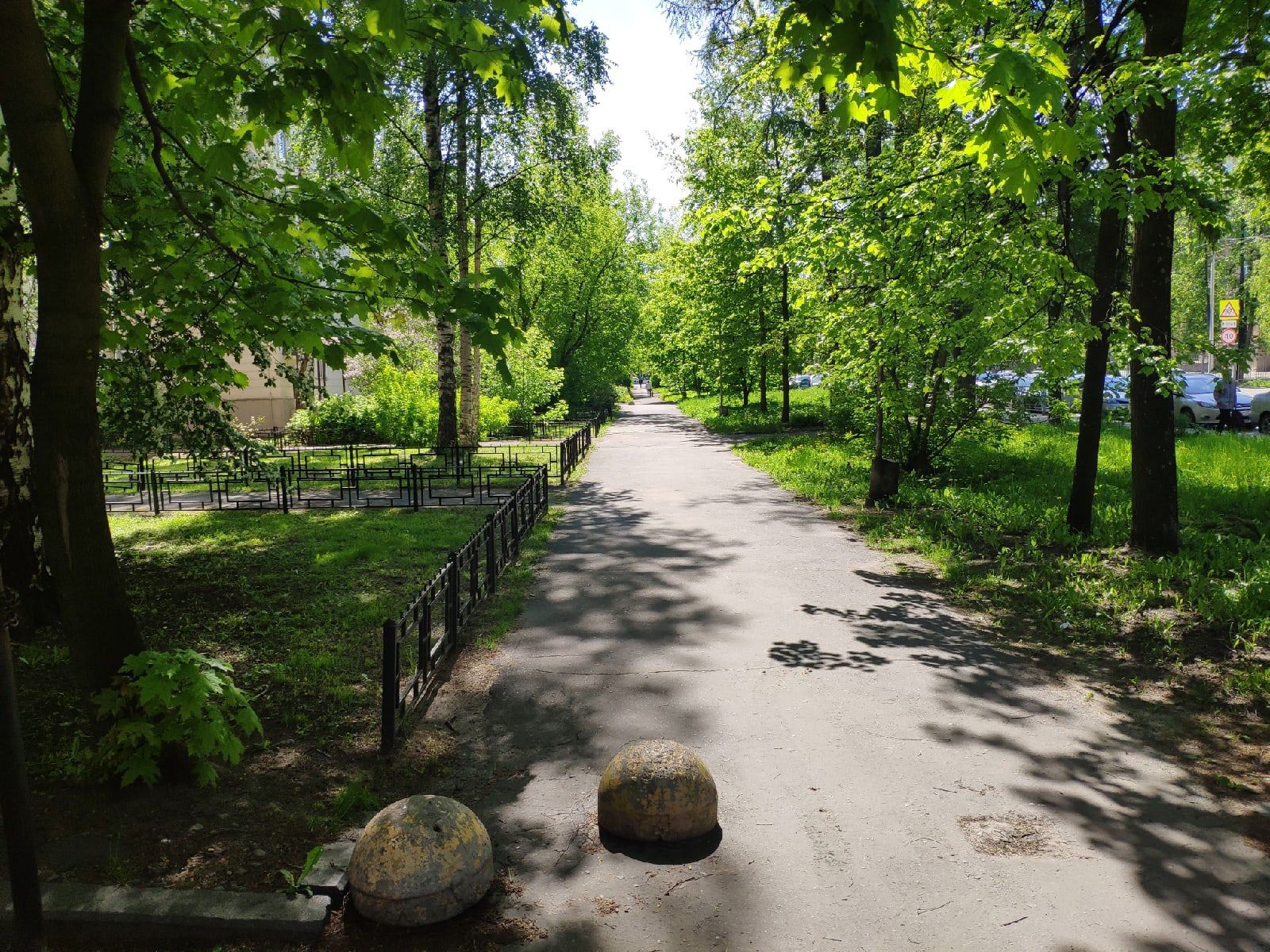 Тепло и почти без дождей: прогноз погоды на пятницу