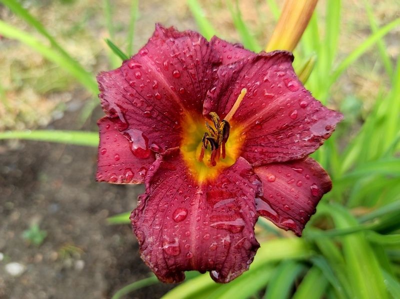 Небольшой дождь: прогноз погода на 12 августа