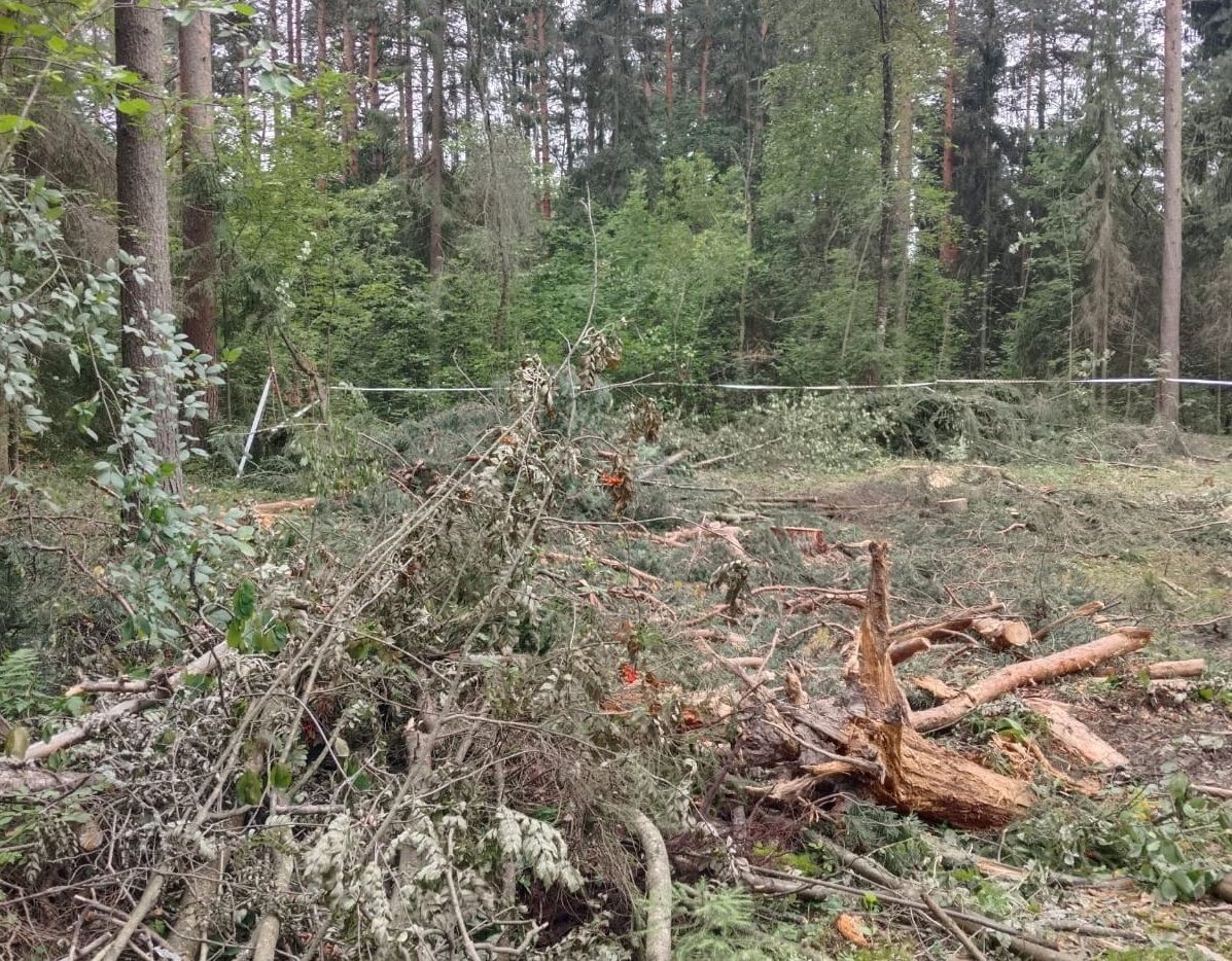 В мэрии прокомментировали, что за рубки идут на окраине Петрозаводска В мэрии прокомментировали, что за рубки идут на окраине Петрозаводска