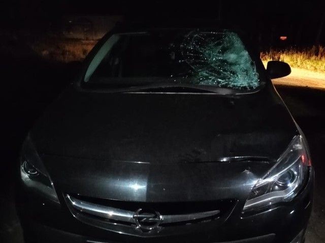 25-летний водитель сбил на обочине дороги в Карелии девочку-подростка