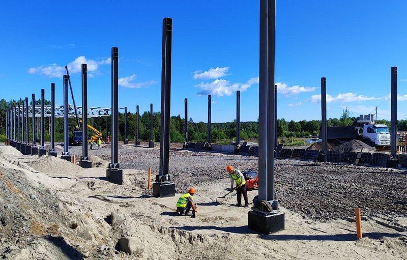 Завод по производству пищевых добавок из ламинарии строят в Карелии