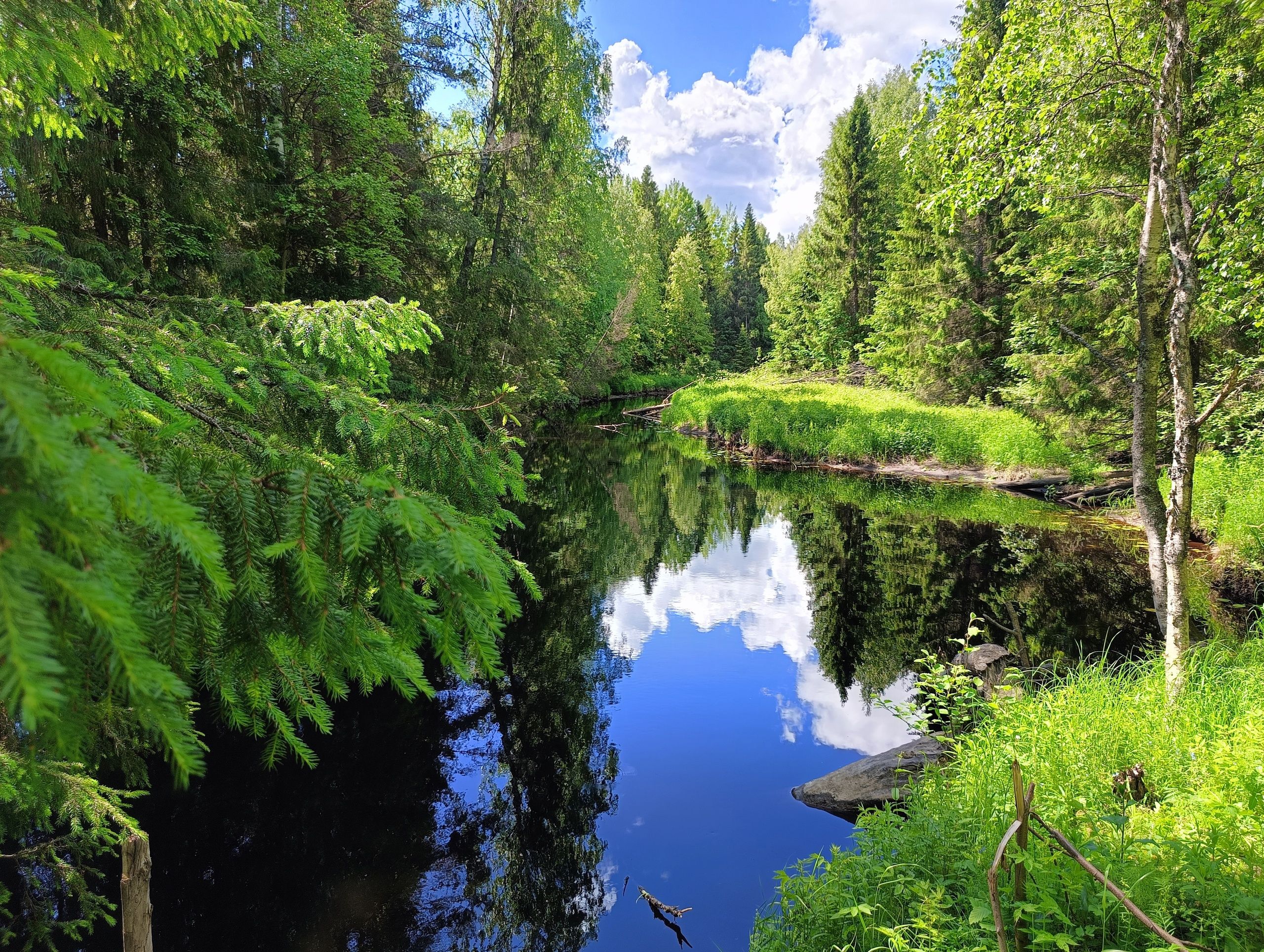 В Карелии утверждена программа экологического развития региона до 2030 года