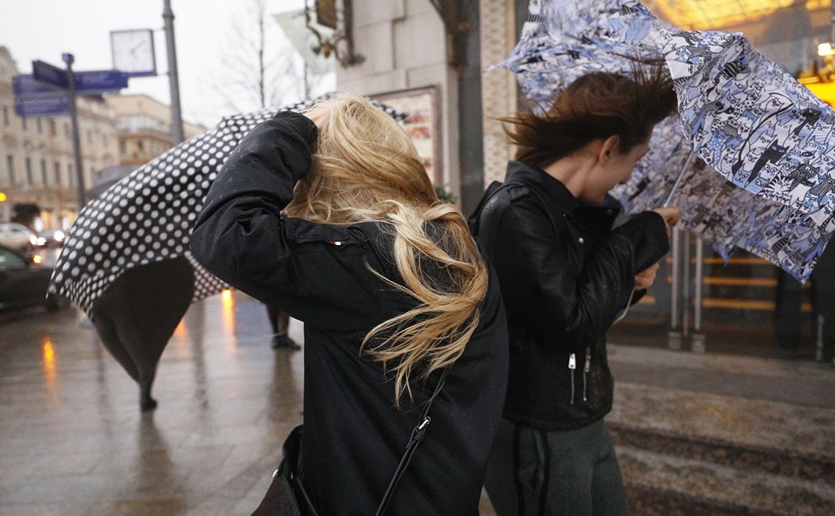 В МЧС Карелии предупредили о сильном ветре