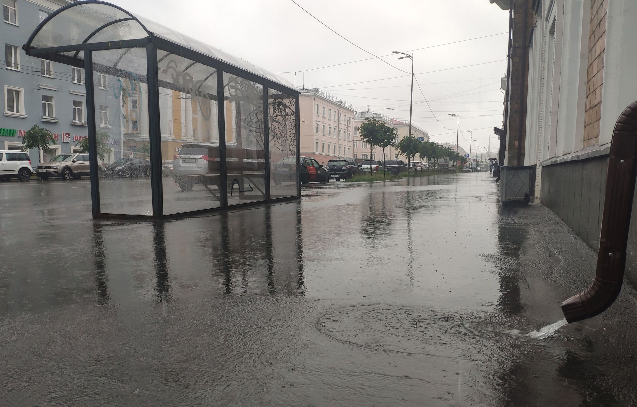 Дожди идут. Прогноз погоды в Карелии на 10 августа