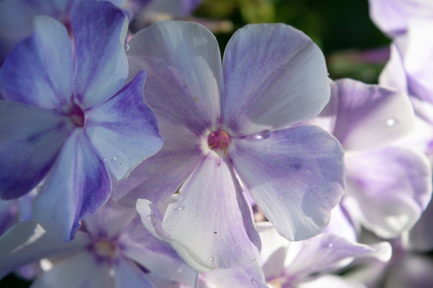 Небольшой дождь и прохлада прогноз погоды на 6 августа