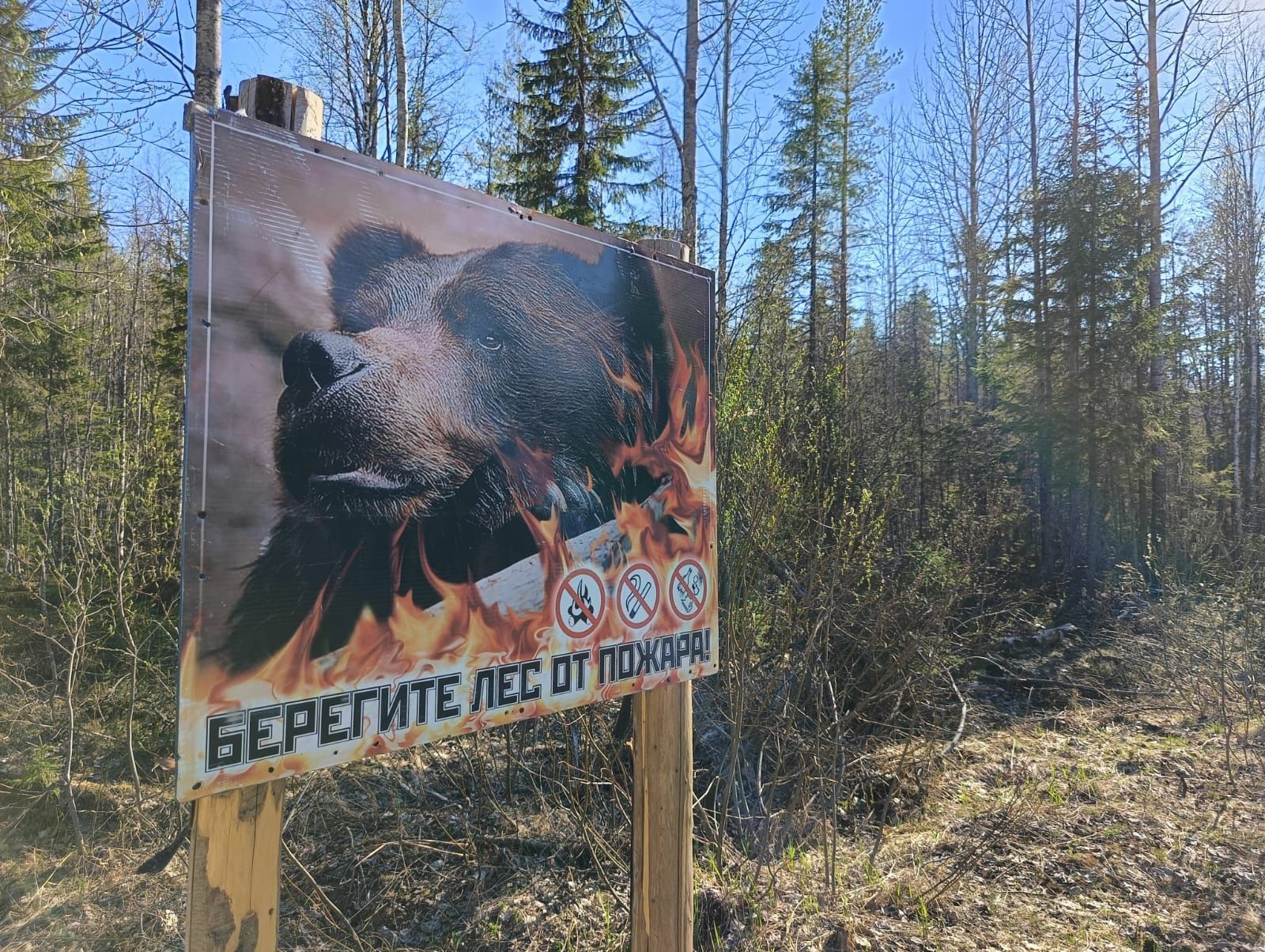 На юге Карелии установлен четвертый класс пожарной опасности