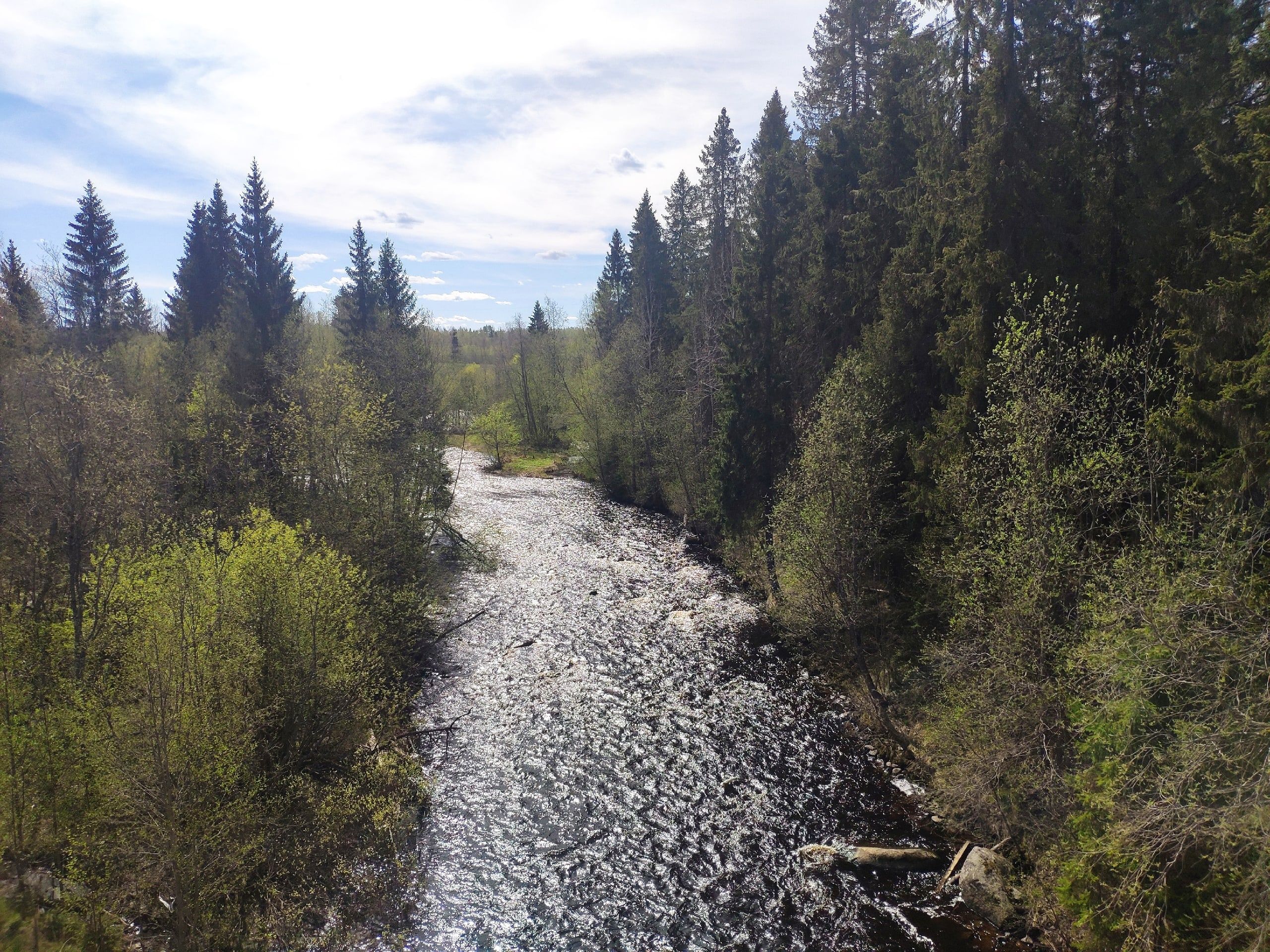 Тепло задержится: прогноз погоды на 13 августа