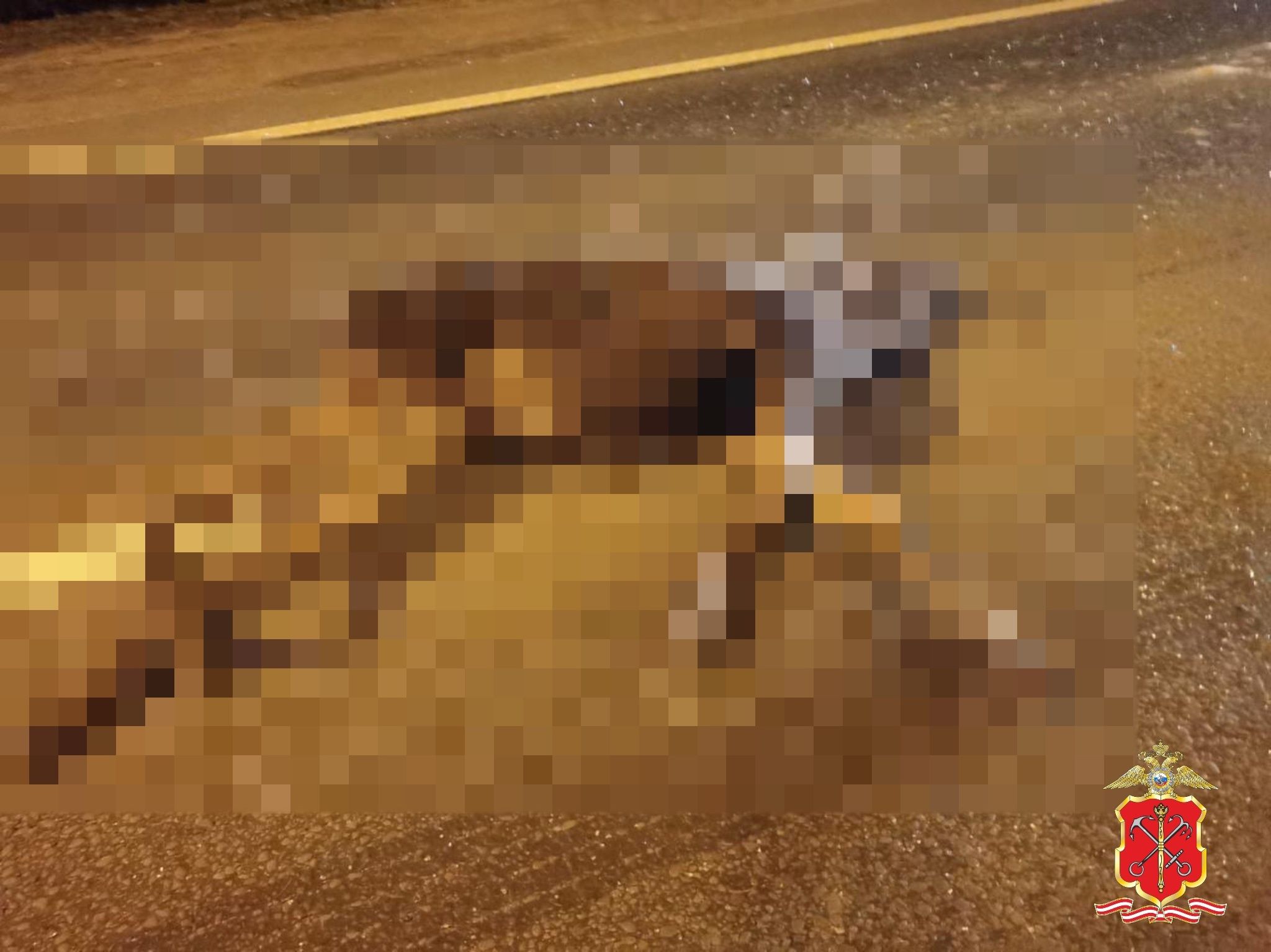 На трассе «Кола» кабриолет Porsche насмерть сбил лося