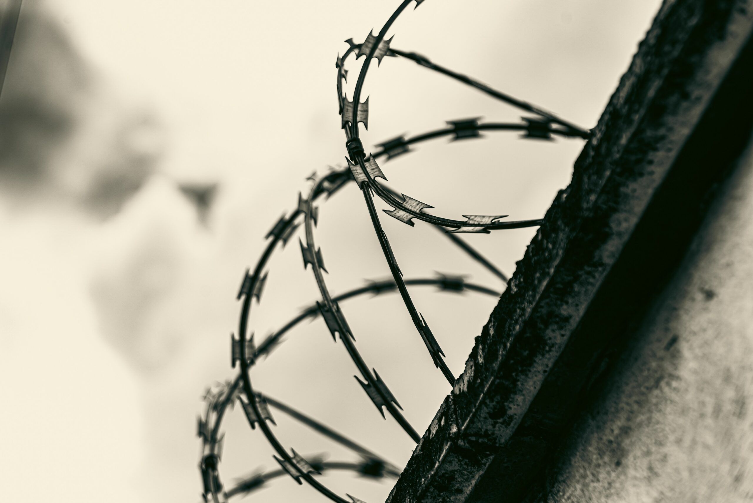 Штурм волгоградской ИК-19 завершен