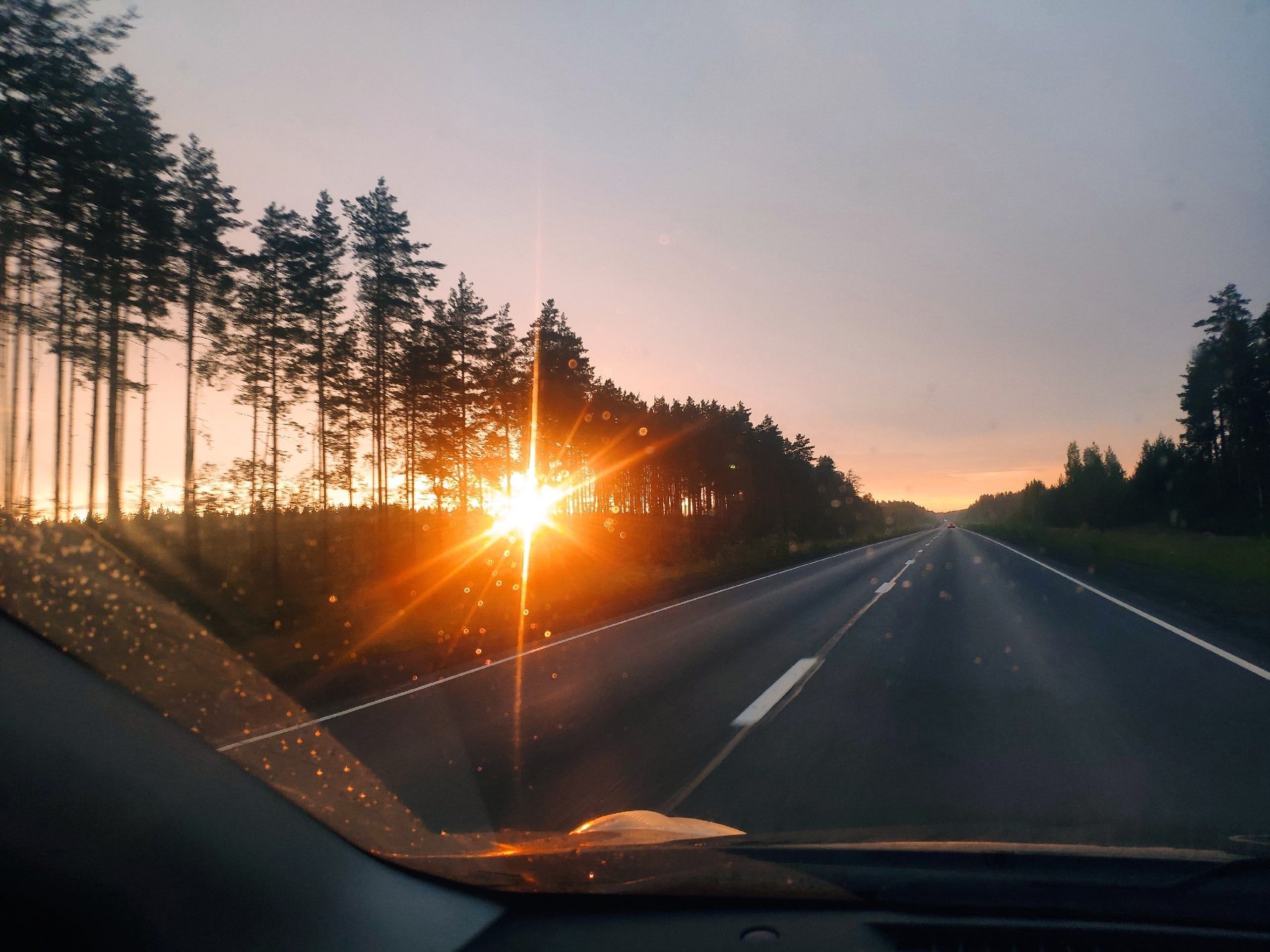 Тепло и солнечно: прогноз погоды на 31 августа