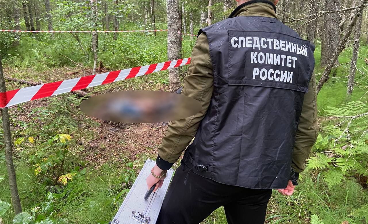 Обнаружено тело пропавшего ранее жителя Прионежья