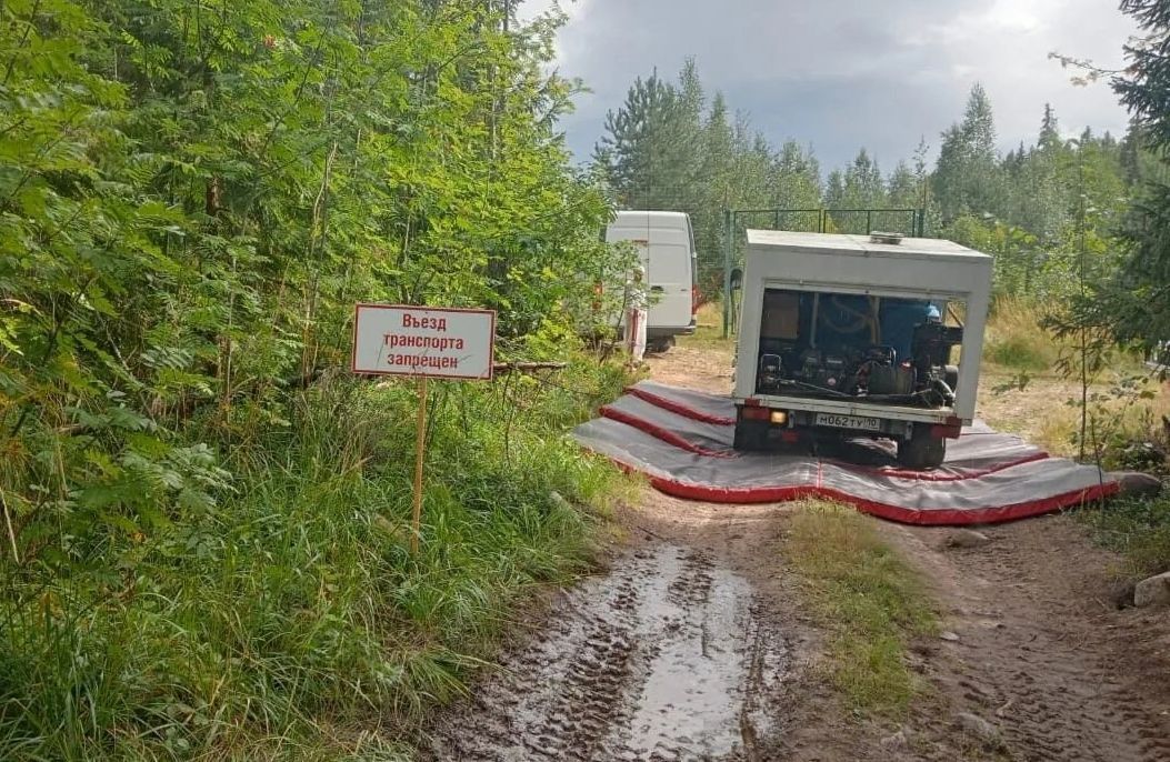 В Минсельхозе Карелии рассказали о ситуации с африканской чумой свиней в Прионежье