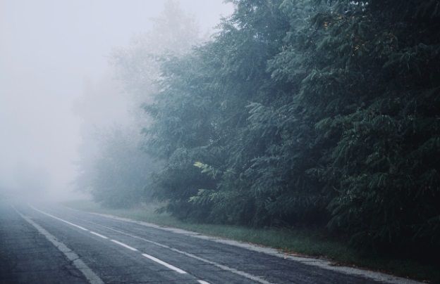 Туманы начались в Карелии