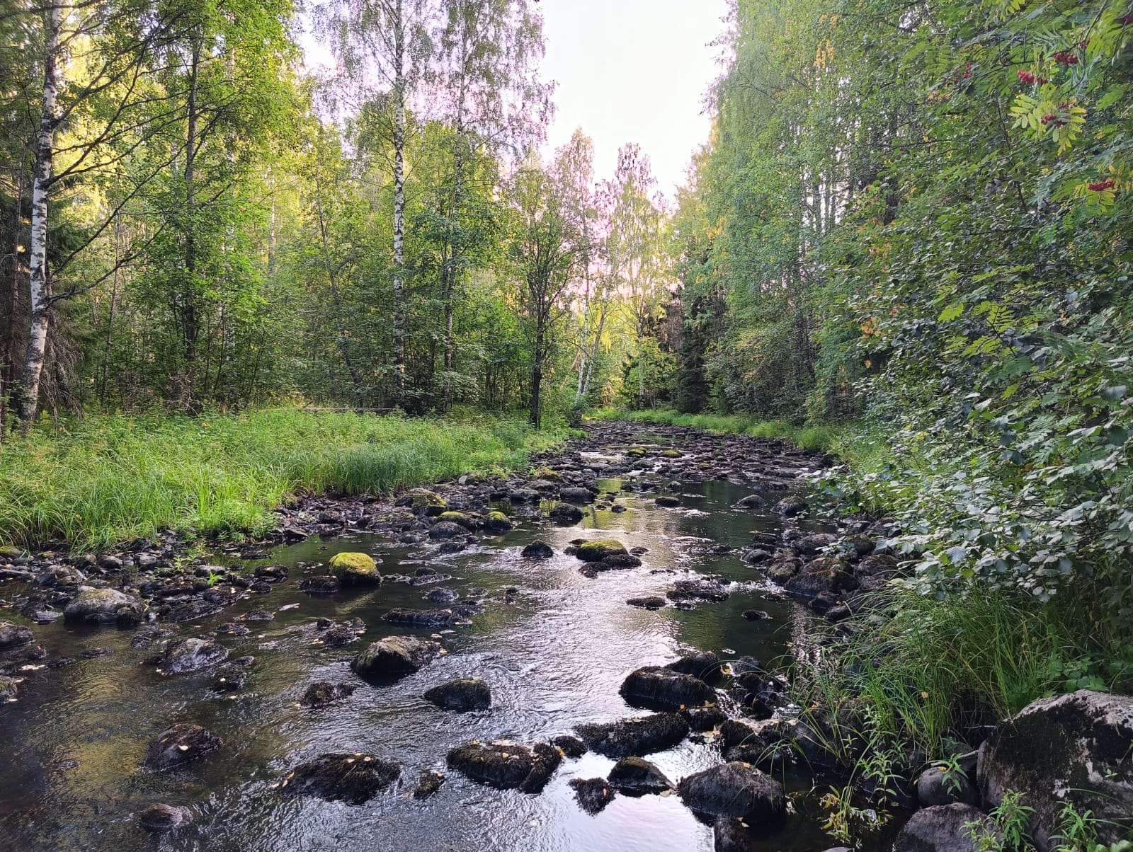 Без существенных осадков. Прогноз погоды в Карелии на 20 августа