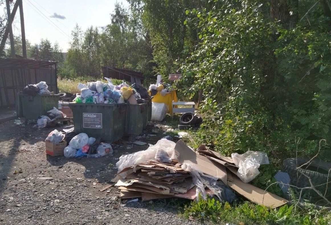 Прокуратура Карелии потребовала навести порядок на трех контейнерных площадках в Чалне