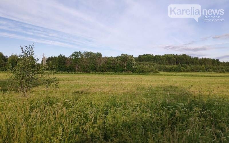 В Карелии на сельскохозяйственном участке обнаружили кладбище