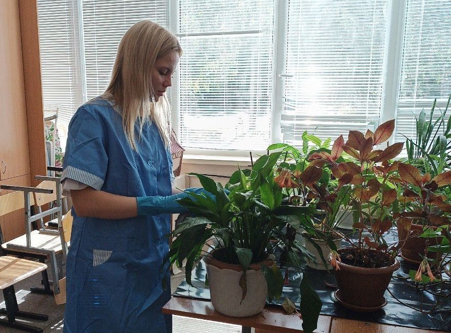 Более 2000 жителей Карелии устроились с начала года на сезонные работы